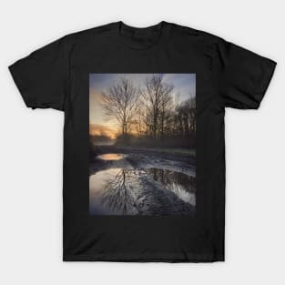 Winter in Wimbledon Common T-Shirt